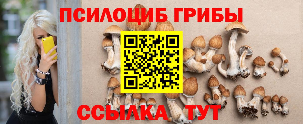 Галлюциногенные грибы мухоморы Челябинск